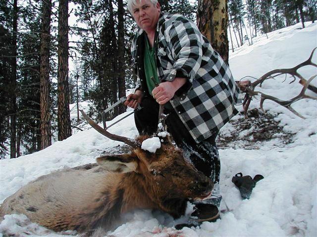 elk6